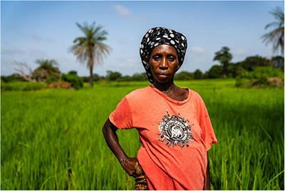 The Challenges of Working in the Heat Whilst Pregnant: Insights From Gambian <mark class="highlighted">Women Farmers</mark> in the Face of Climate Change
